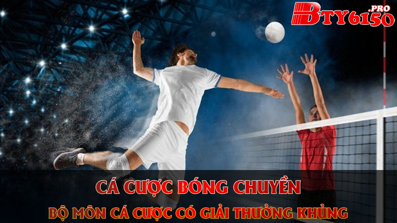 Cá Cược Bóng Chuyền - Bộ Môn Cá Cược Có Giải Thưởng Khủng