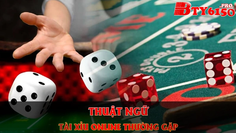 Các thuật ngữ thường gặp